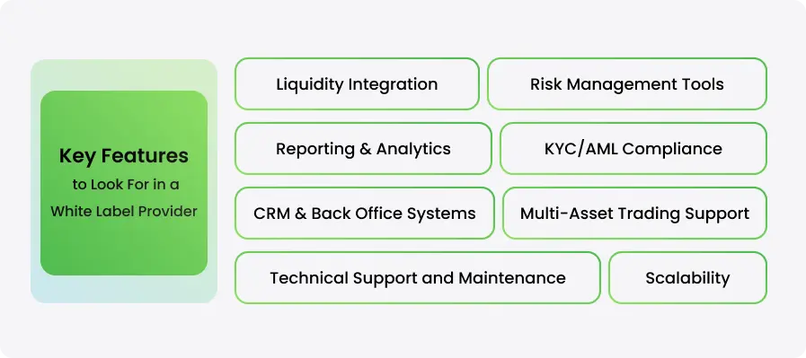 Key Features to Look For in a White Label Provider - schema